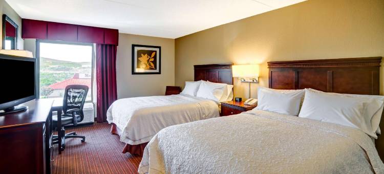 蒙太奇山斯克兰顿欢朋酒店(Hampton Inn Scranton at Montage Mountain)图片