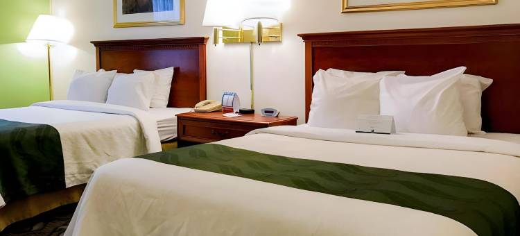 凯艺酒店(Quality Inn)图片