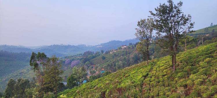 The Ark Haven Ooty by Scenic Serenity Stays图片