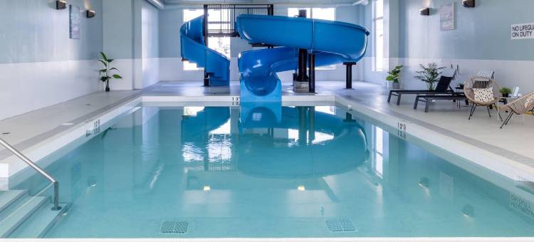 卡尔加里机场丽笙酒店及会议中心(Radisson Hotel & Conference Centre Calgary Airport)图片