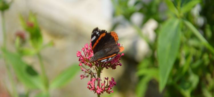 Holiday Home Folleville near Asterix Park图片