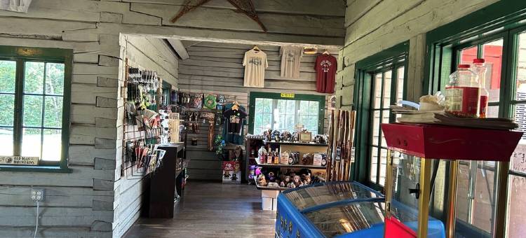 Family Friendly, Rustic, White Mountains, Dogs Welcome图片