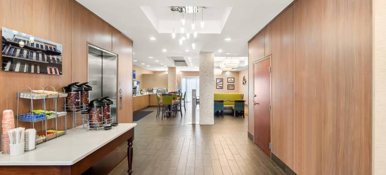 新奥尔良东舒适套房酒店(Comfort Suites New Orleans East)图片