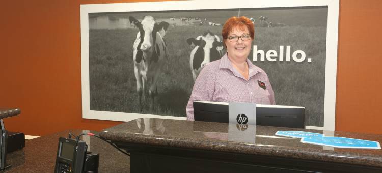 希尔顿欢朋酒店-奥韦戈(Hampton Inn Owego)图片