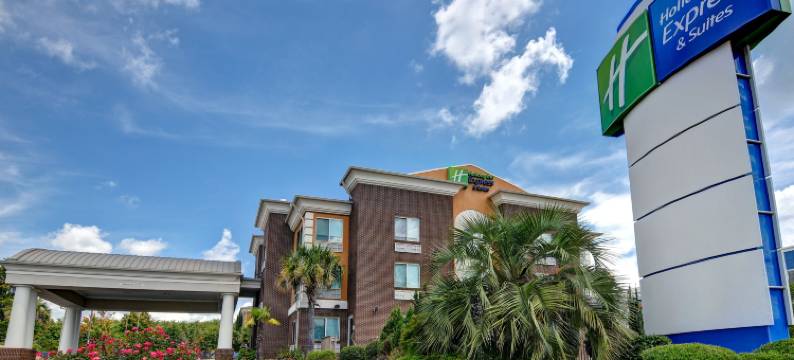 智选假日套房酒店-安德森85号州际公路/76号高速公路19B出口(Holiday Inn Express & Suites ANDERSON-I-85 (HWY 76, EX 19B) by IHG)图片