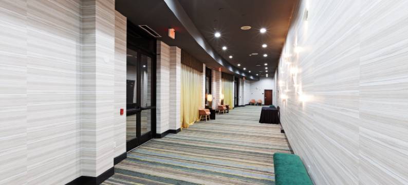 Holiday Inn & Suites 麦金尼的黄金国(Holiday Inn & Suites MCKINNEY - N ALLEN by IHG)图片