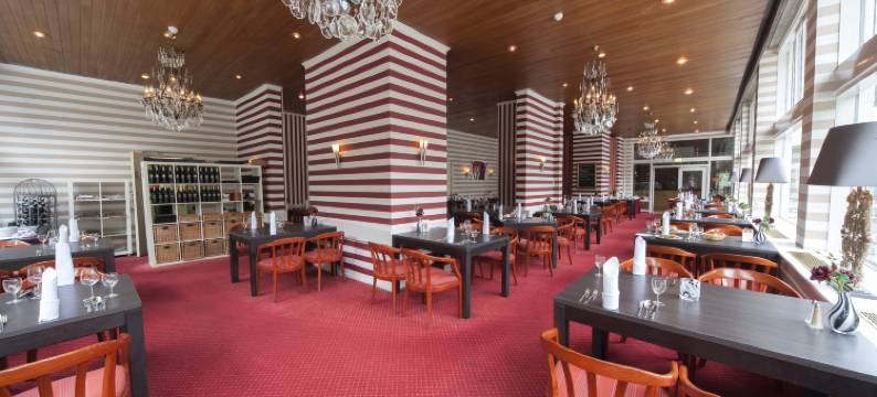 弗莱彻艾莉卡餐厅酒店(Fletcher Hotel Restaurant Erica)图片