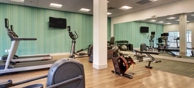 萨默维尔洲际智选假日套房酒店(Holiday Inn Express & Suites SUMMERVILLE by IHG)图片