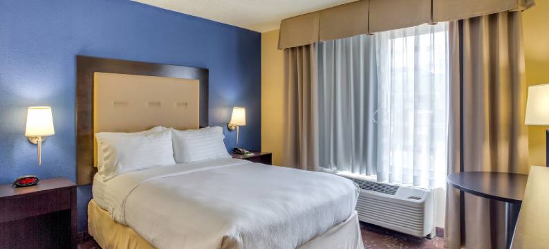 Holiday Inn 焦糖(Holiday Inn INDIANAPOLIS CARMEL by IHG)图片