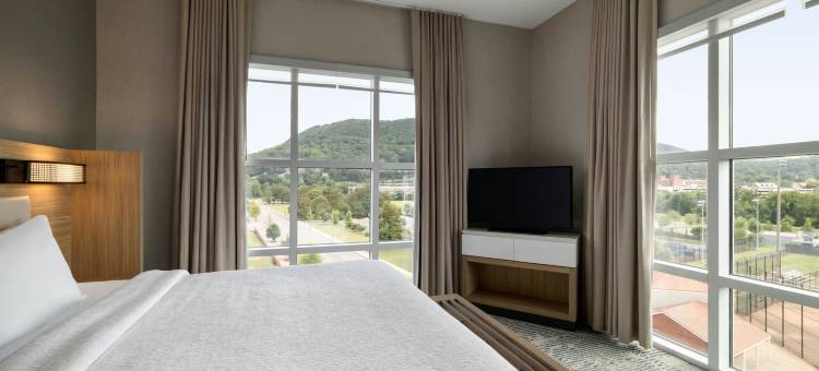 罗阿诺克万豪SpringHill酒店(SpringHill Suites Roanoke)图片