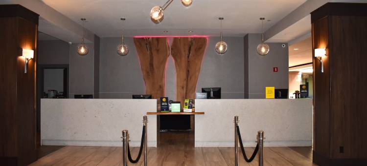 奥克布鲁克芝加哥希尔顿逸林酒店(DoubleTree by Hilton Chicago - Oak Brook)图片