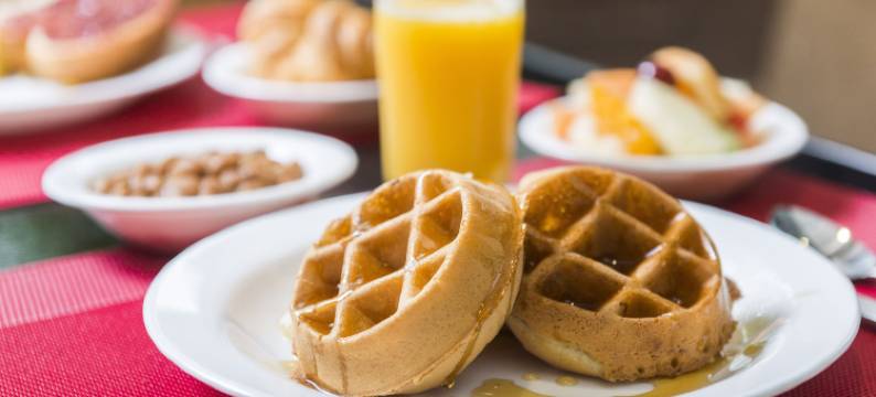 乐多芬魁北克套房和酒店(Hôtel & Suites le Dauphin Québec)图片