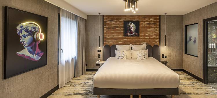 Best Western Plus Hotel Saint-Roch Orleans图片