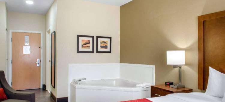 卡温顿-曼德维尔舒适套房酒店(Comfort Inn & Suites Covington - Mandeville)图片