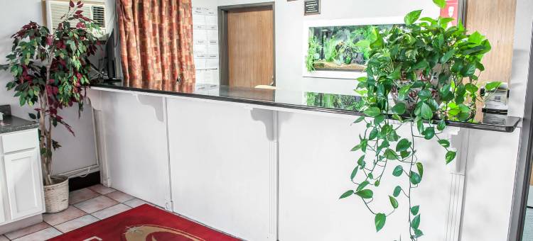 拉斯克鲁塞斯大学区伊克诺旅馆(Econo Lodge Las Cruces University Area)图片