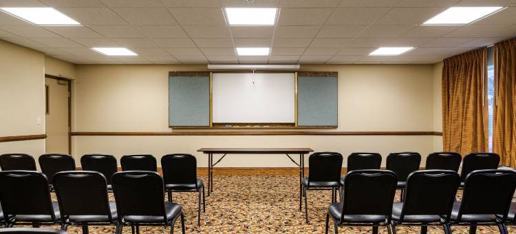 舒适套房酒店(Comfort Inn & Suites)图片