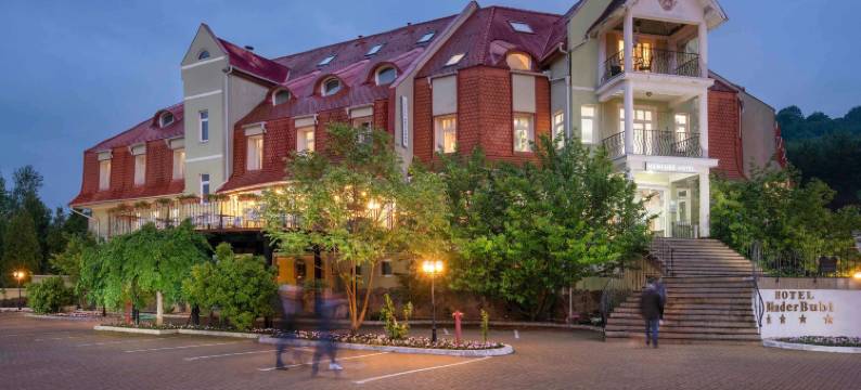 梅迪亚什 Binderbubi 美居水疗酒店(Mercure Medias Binderbubi Hotel and Spa)图片