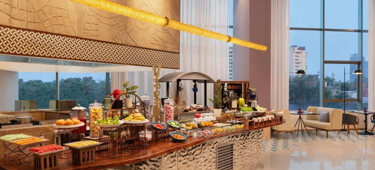 新德里市中心诺富特酒店(Novotel New Delhi City Centre)图片