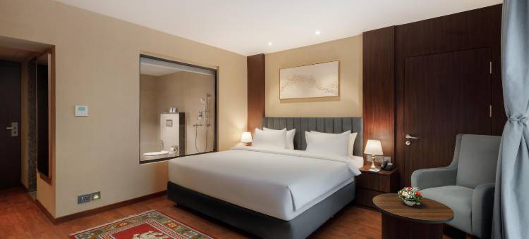 皇家郁金香加德满都(Royal Tulip Kathmandu)图片