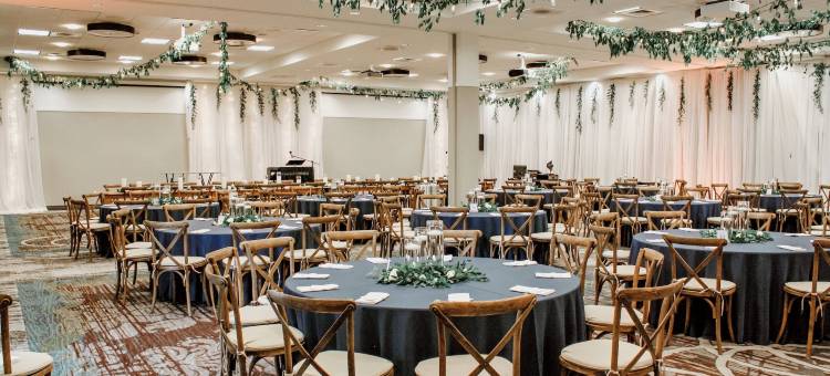 Holiday Inn & Suites 皮奥里亚在盛大大草原(Holiday Inn & Suites Peoria at Grand Prairie)图片