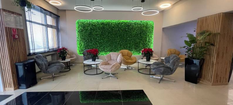 索斯诺维茨艺术酒店(Art Hotel's Sosnowiec)图片