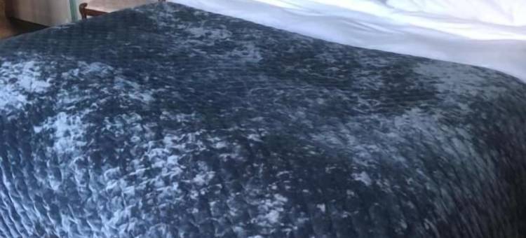 布里乌斯庄园(Domaine de La Briouse)图片