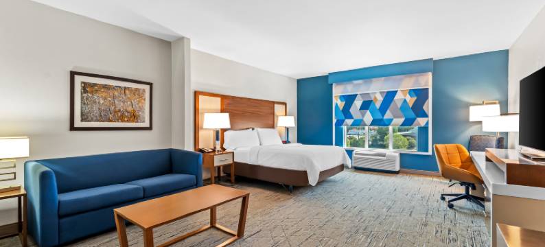 智选假日套房酒店奥尔巴尼 by IHG(Holiday Inn Express & Suites ALBANY by IHG)图片