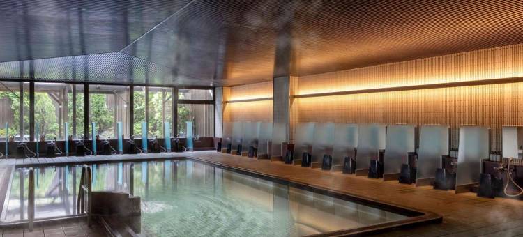 宮城蔵王美居温泉度假酒店(Mercure Miyagi Zao Resort & Spa)图片