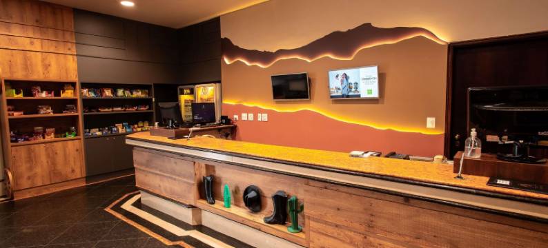 宜必思尚品普鲁登特总统城酒店，西部门户(Ibis Styles Presidente Prudente Portal d'Oeste)图片