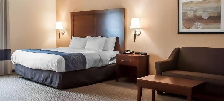 舒适酒店及套房-汉堡-南布法罗(Comfort Inn & Suites Hamburg - Buffalo South)图片