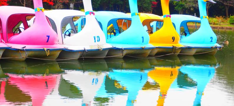 柏樱花天空酒店(Sakura Sky Hotel Kashiwa)图片