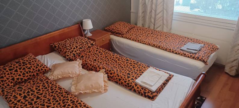 伊卡哈尼酒店(Hotelli Ikahani)图片