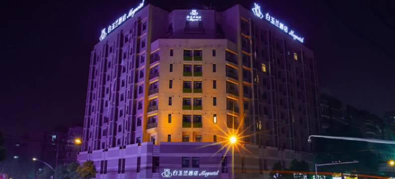 白玉兰酒店(武汉武商梦时代宝通寺地铁站店)图片
