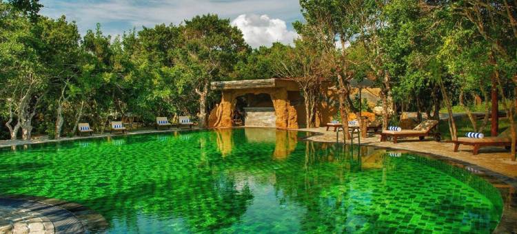 悠阁·野奢营(雅拉·全包)(Uga Chena Huts - Yala - All Inclusive)图片