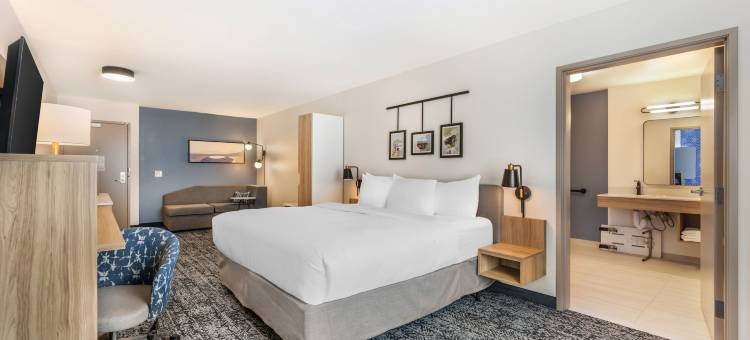 舒眠旅馆及套房哈里斯堡机场 - 赫尔希南部(Sleep Inn & Suites Harrisburg Airport - Hershey South)图片