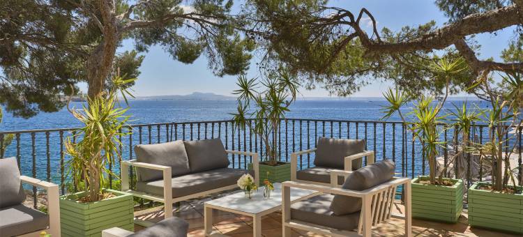 巴塞罗伊尔塔斯信天翁酒店(Barceló Illetas Albatros - Adults Only)图片