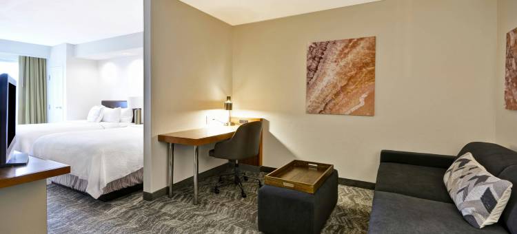 SpringHill Suites套房酒店列克星敦肯塔基州大学(SpringHill Suites Lexington Near the University of Kentucky)图片