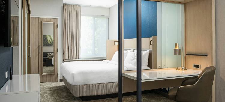 萨凡纳里士满山SpringHill Suites套房(SpringHill Suites Savannah Richmond Hill)图片