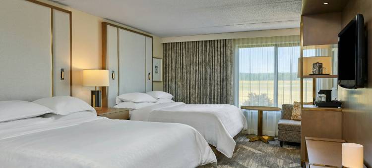 波特兰机场喜来登酒店(Sheraton Portland Airport Hotel)图片