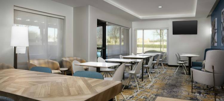 达拉斯迪索托TownePlace Suites 酒店(TownePlace Suites Dallas DeSoto)图片