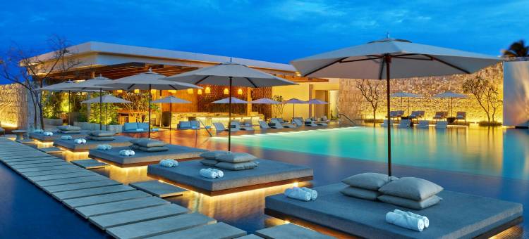 圣瑞吉斯卡奈度假村，玛雅河谷(The St. Regis Kanai Resort, Riviera Maya)图片