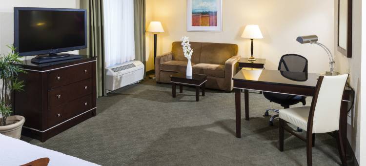 南拉斯维加斯欢朋酒店(Hampton Inn & Suites Las Vegas South)图片