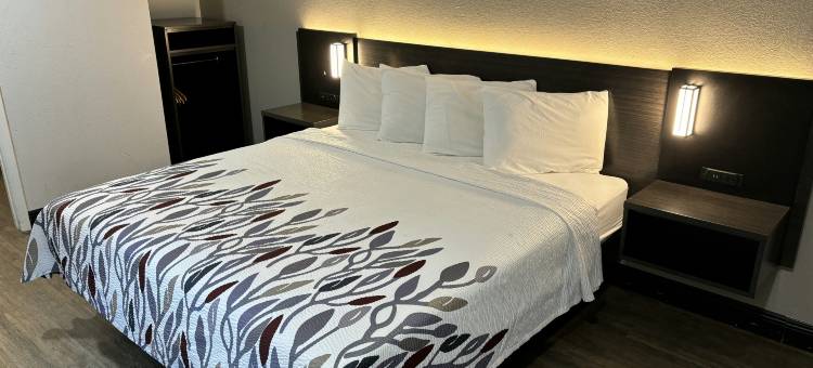怀尔德伍德红屋顶旅馆 - 佛罗里达州村庄市(Red Roof Inn Wildwood, FL - The Villages)图片