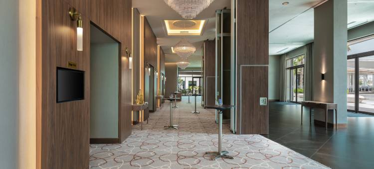阿布扎比华纳兄弟世界主题乐园希尔顿格芮精选酒店(The WB Abu Dhabi Hotel, Curio Collection by Hilton)图片