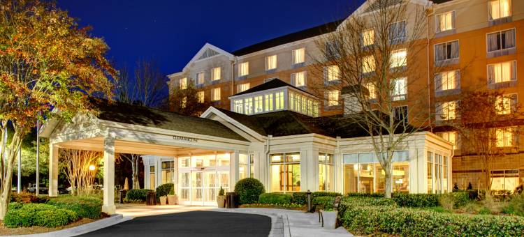 北亚特兰大/阿尔普哈雷塔希尔顿花园酒店(Hilton Garden Inn Atlanta North/Alpharetta)图片