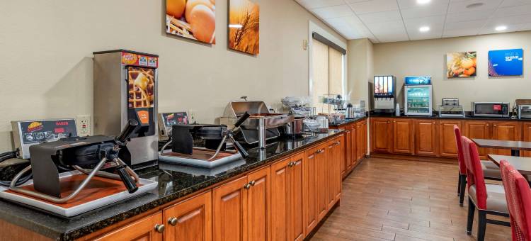 尼斯维尔埃格林空军基地附近舒适全套房酒店(Comfort Suites Niceville Near Eglin Air Force Base)图片