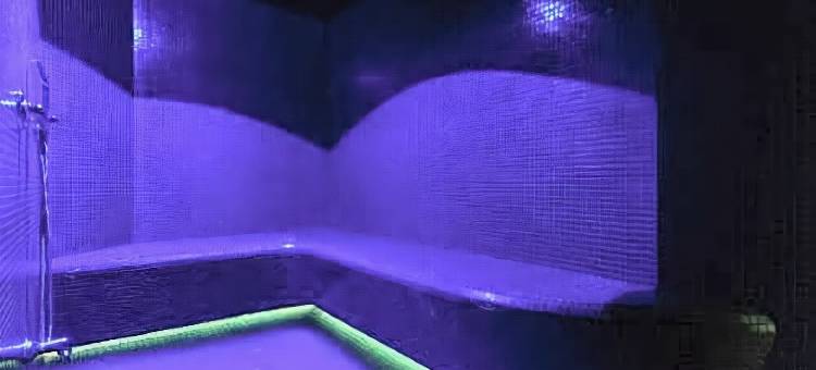 格兰德酒店(Grand Hôtel des Alpes)图片