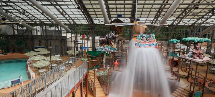 假日度假俱乐部别墅度假村(Holiday Inn Club Vacations VILLAGES RESORT LAKE PALESTINE by IHG)图片