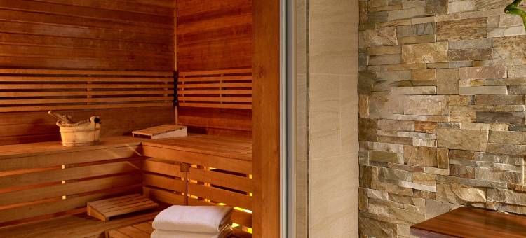 维也纳丽思卡尔顿酒店(The Ritz-Carlton, Vienna)图片