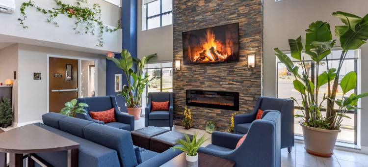 圣路易斯舒适套房酒店-日落山(Comfort Suites St. Louis - Sunset Hills)图片